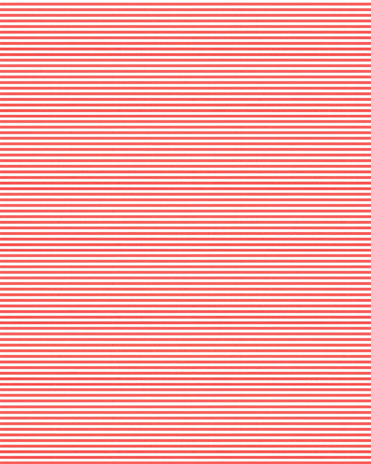 TOSHI : Mini Lobster Red Stripe - Flap Cap