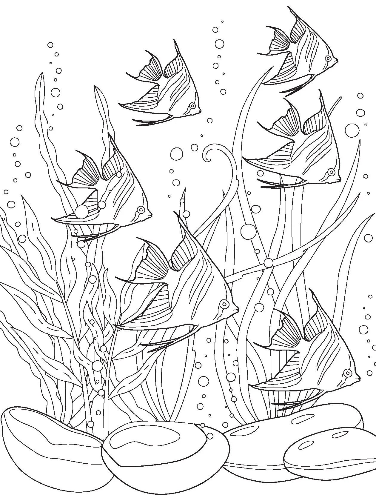 BOOKS : Ocean Wonders Colour & Scratch Book