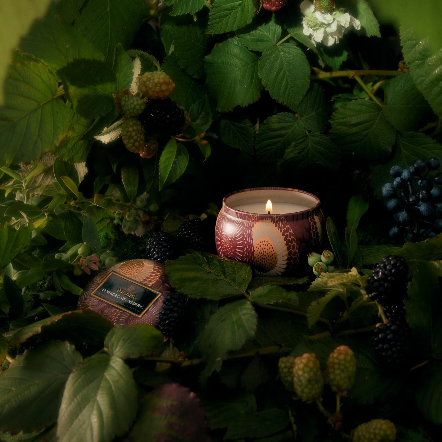 VOLUSPA : Foraged Wildberry - Decorative Candle