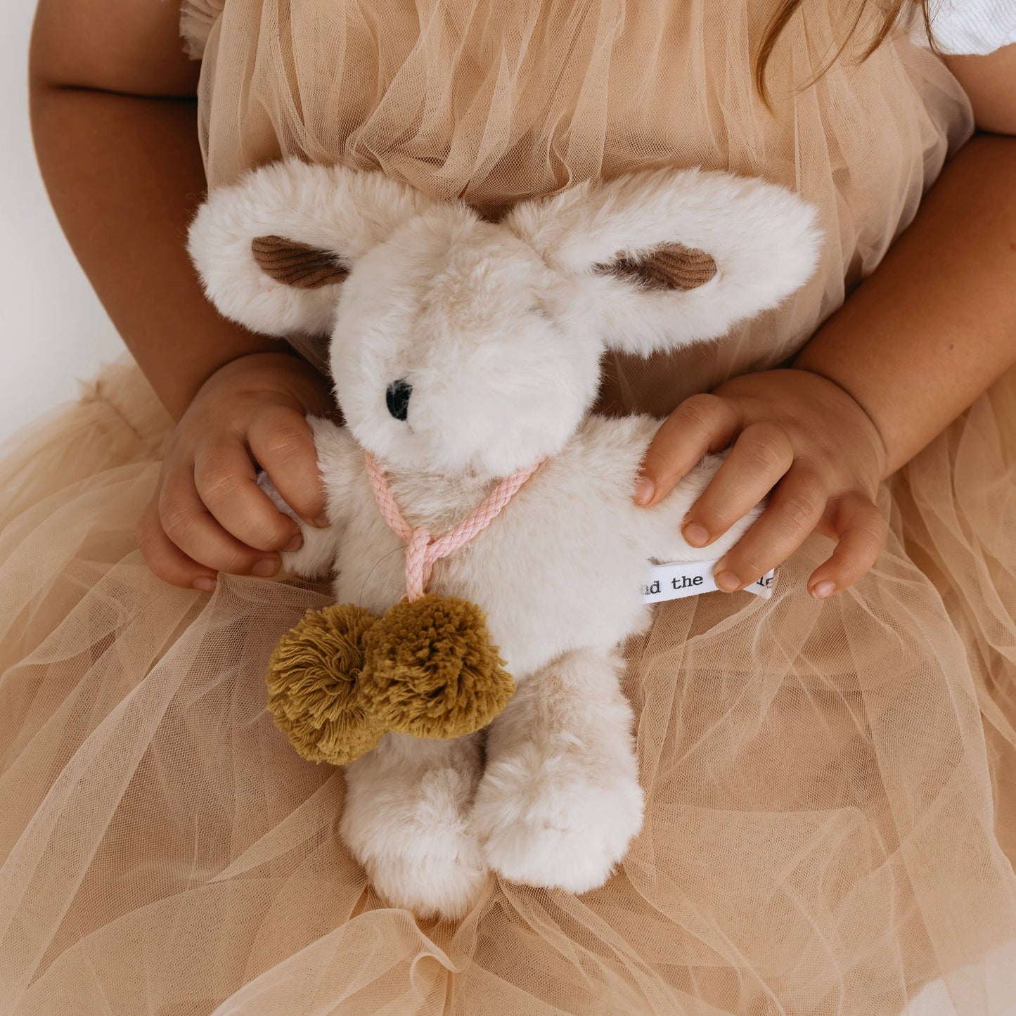 AND THE LITTLE DOG LAUGHED : Beatrice Rabbit - Soft Toy