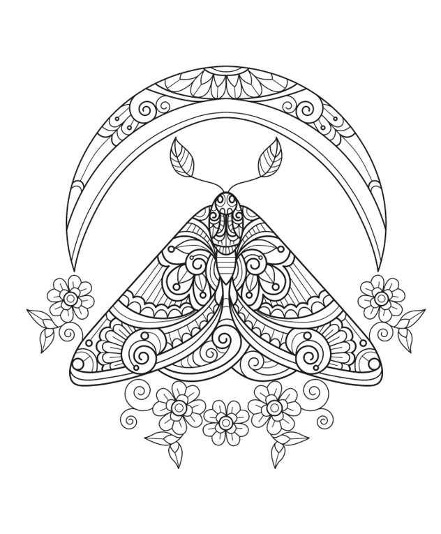 BOOKS : Daydreams Colouring Set - Adult Colouring Book