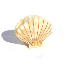 KINGSTON : White Shell - Claw Clip