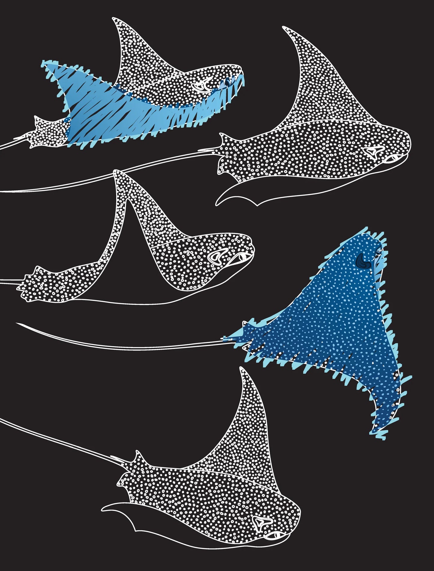 BOOKS : Ocean Wonders Colour & Scratch Book