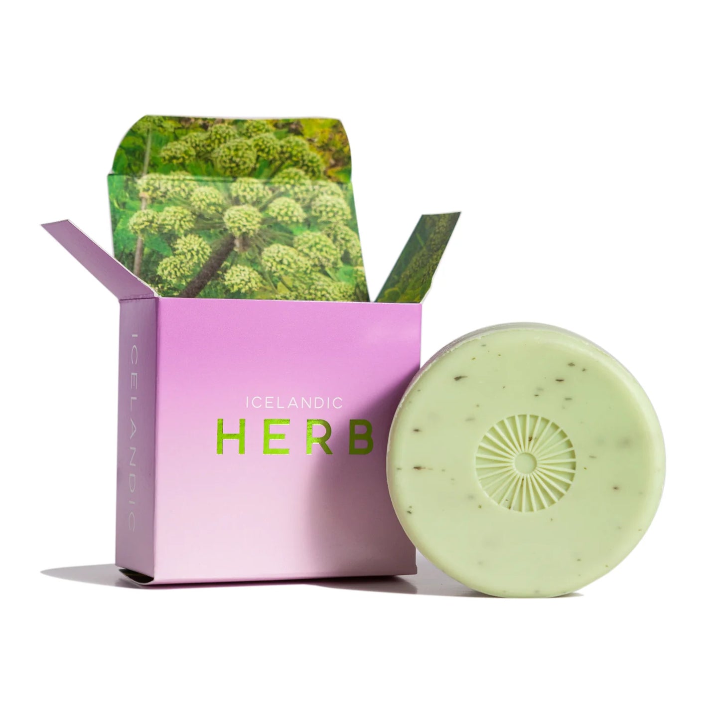 KALASTYLE : Hallo Iceland Angelica Herb Soap