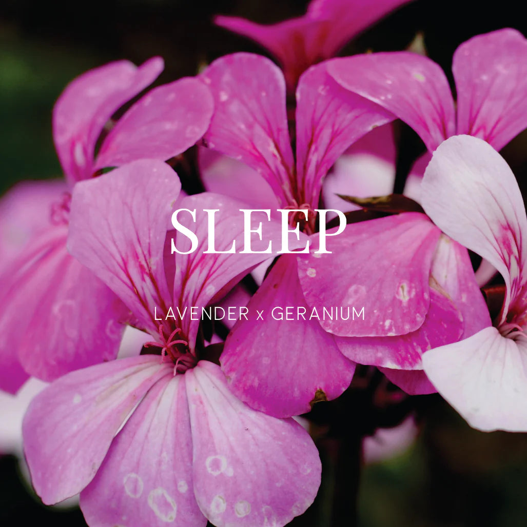 WILD EMERY : Sleep Lavender x Geranium - Shower Steamer