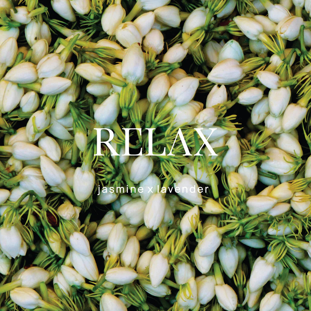WILD EMERY : Relax Jasmine x Lavender - Shower Steamer