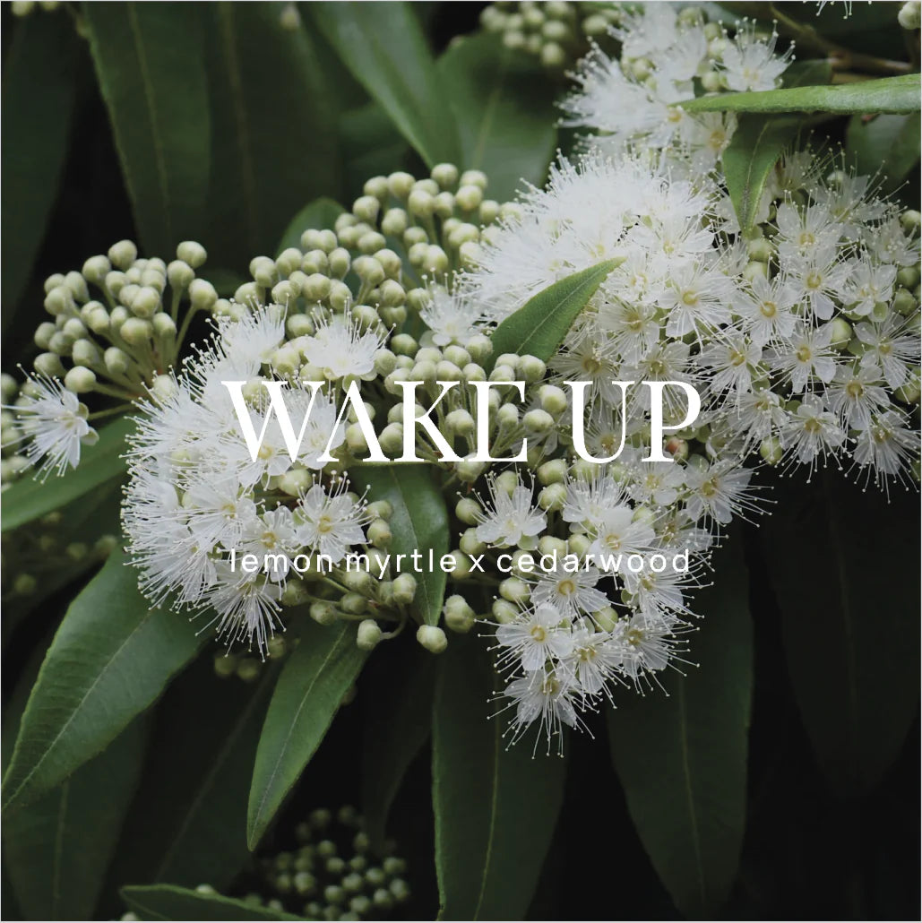 WILD EMERY : Wake Up Lemon Myrtle x Cedarwood - Shower Steamer