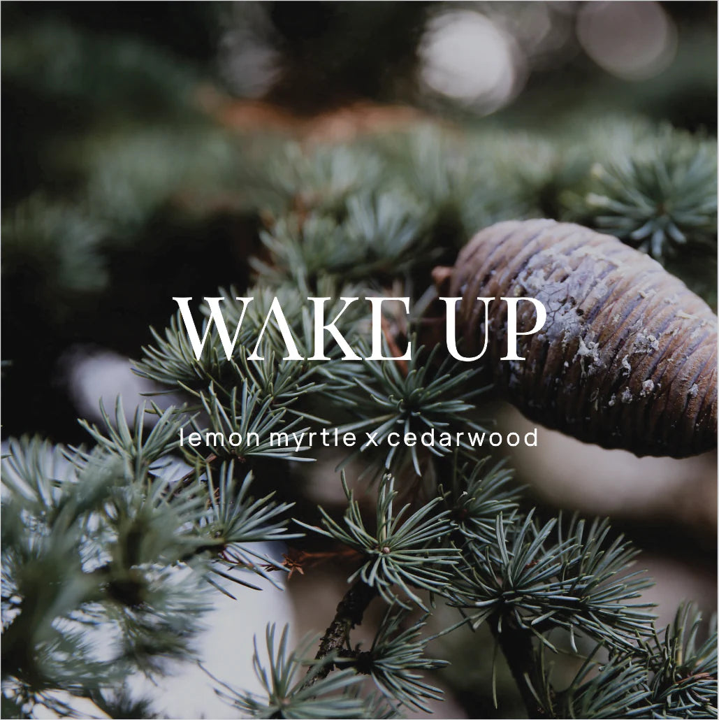 WILD EMERY : Wake Up Lemon Myrtle x Cedarwood - Shower Steamer