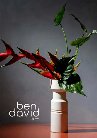 BEN DAVID