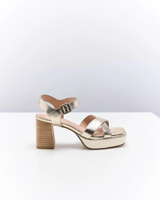 WALNUT : Winslet Leather  Gold - Heel