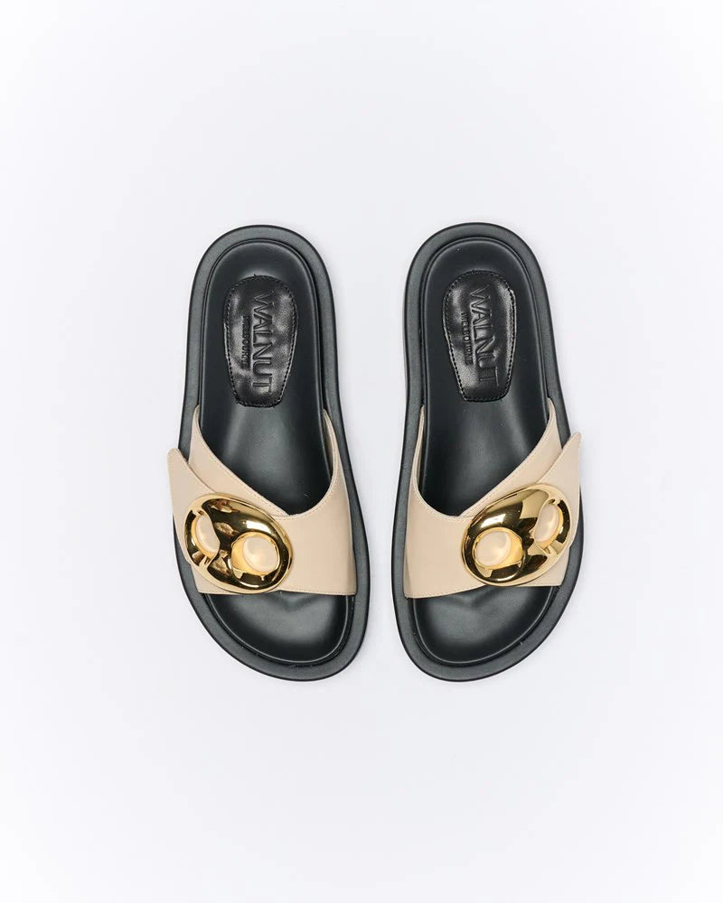 WALNUT : Oyster Indie - Slide