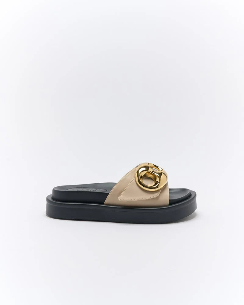 WALNUT : Oyster Indie - Slide
