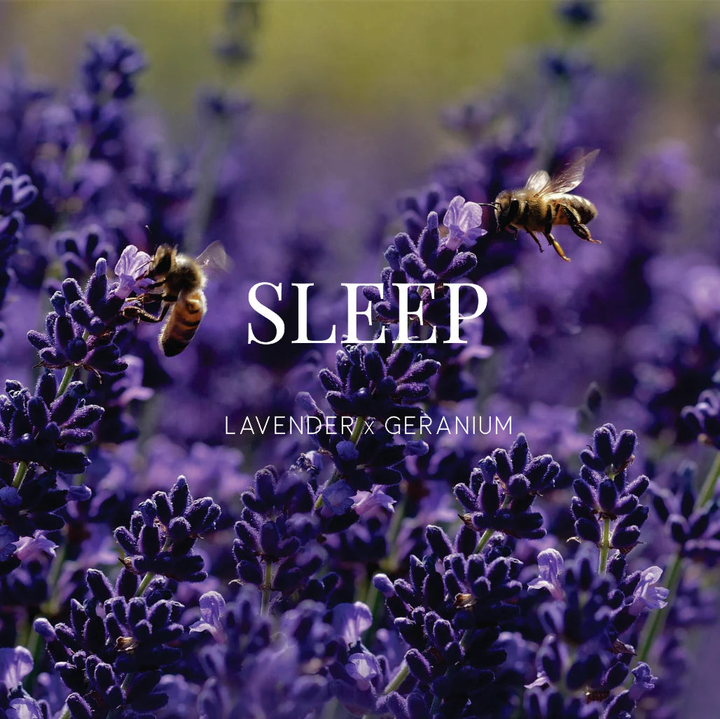 WILD EMERY : Sleep Lavender x Geranium - Shower Steamer