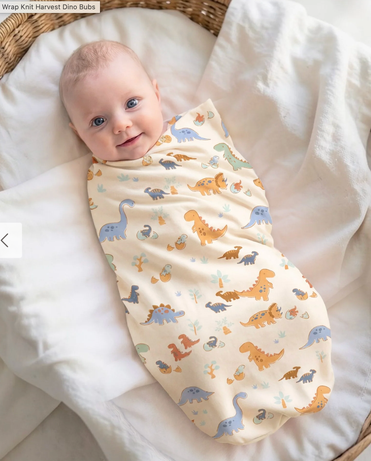 TOSHI : Wrap Knit Harvest Dino Bubs